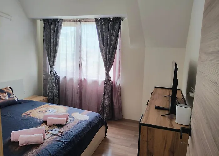 公寓 Sun Rays 内塞伯尔