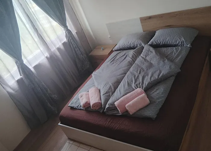 Sun Rays * 内塞伯尔