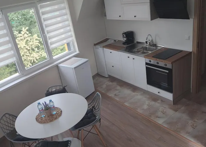 Sun Rays 公寓 内塞伯尔