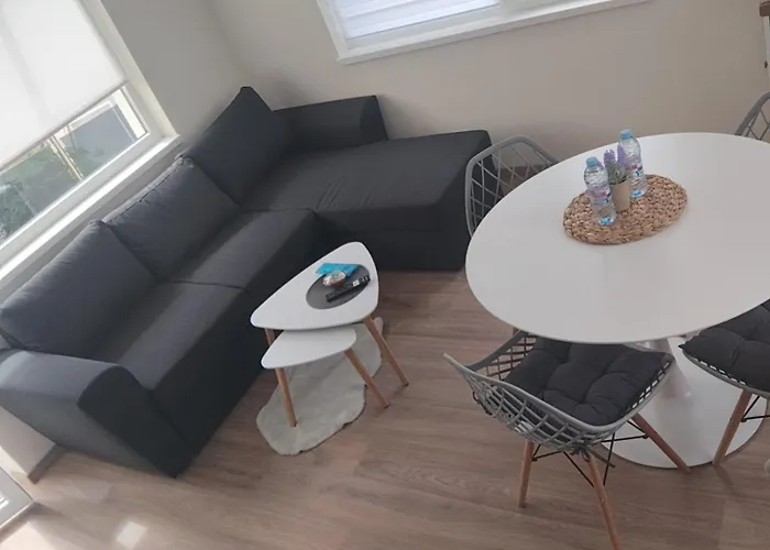 Sun Rays 内塞伯尔