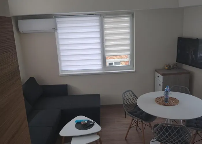 Sun Rays 公寓 内塞伯尔