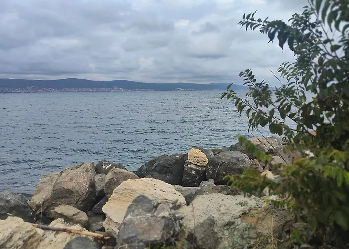 Sun Rays 内塞伯尔